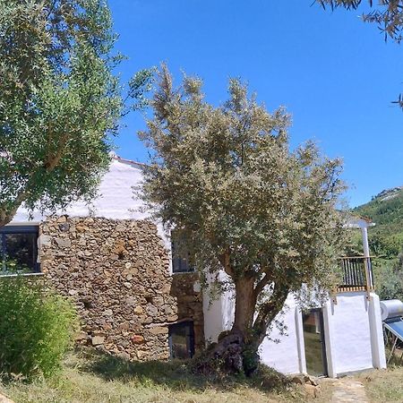 Bed and Breakfast Alegria Rustica 2 Rustic Happiness à Envendos Extérieur photo