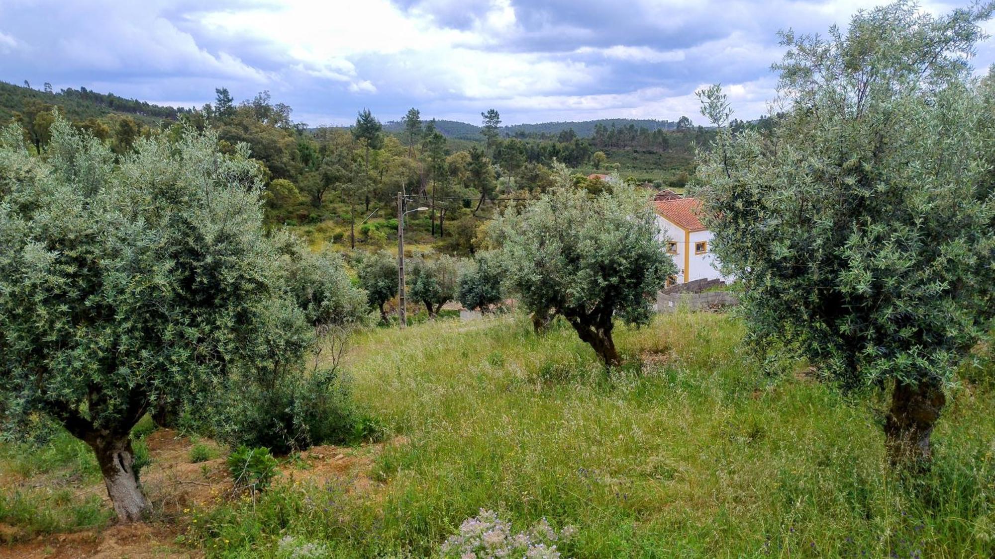 Bed and Breakfast Alegria Rustica 2 Rustic Happiness à Envendos Extérieur photo