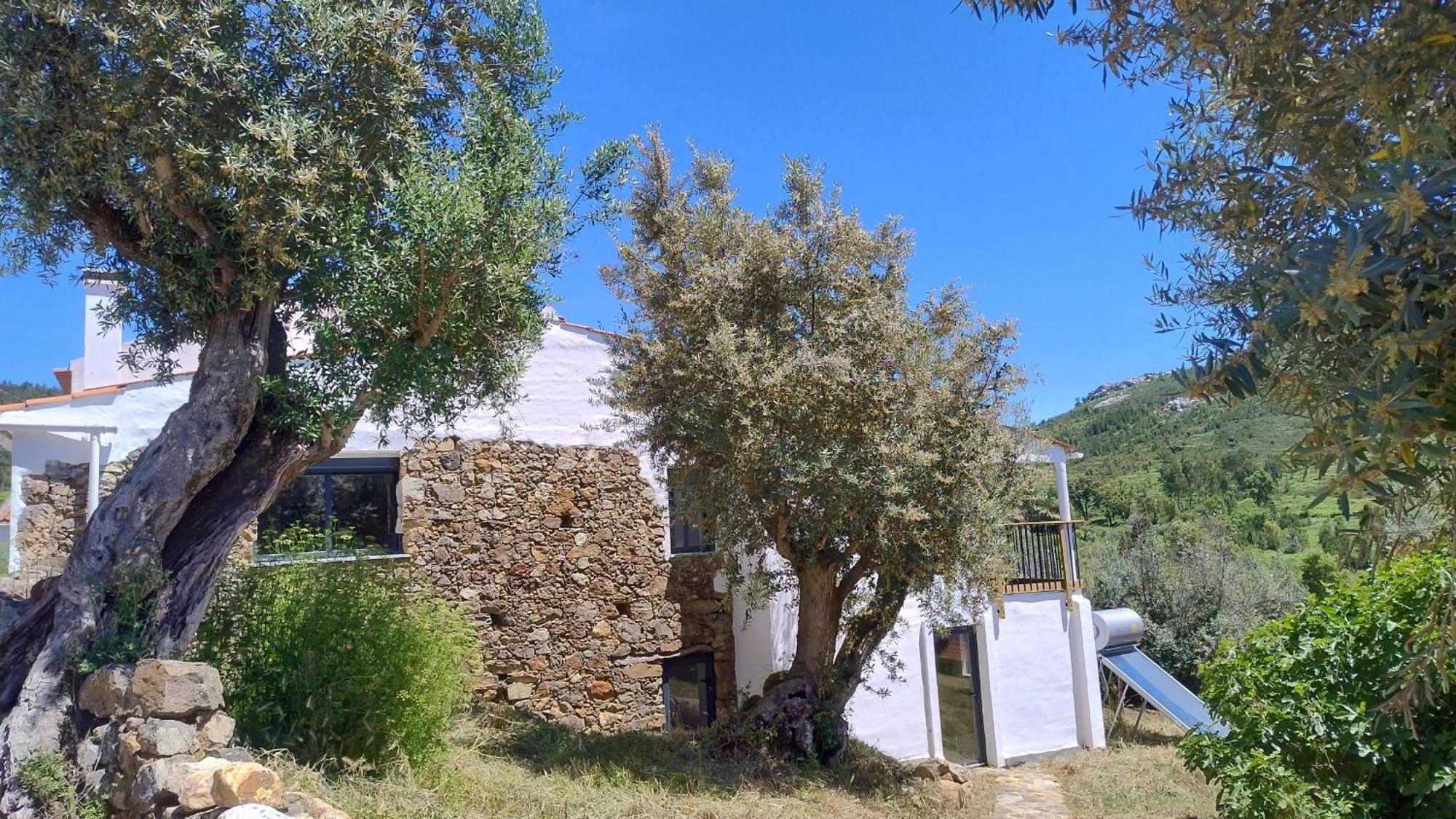 Bed and Breakfast Alegria Rustica 2 Rustic Happiness à Envendos Extérieur photo